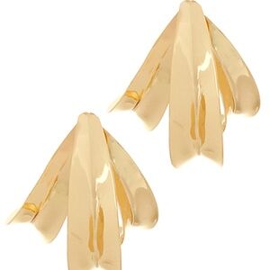 Layered Organic Hoops